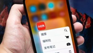 172 号卡小红书私信转化：避免违规的客户引导 + 咨询回复话术